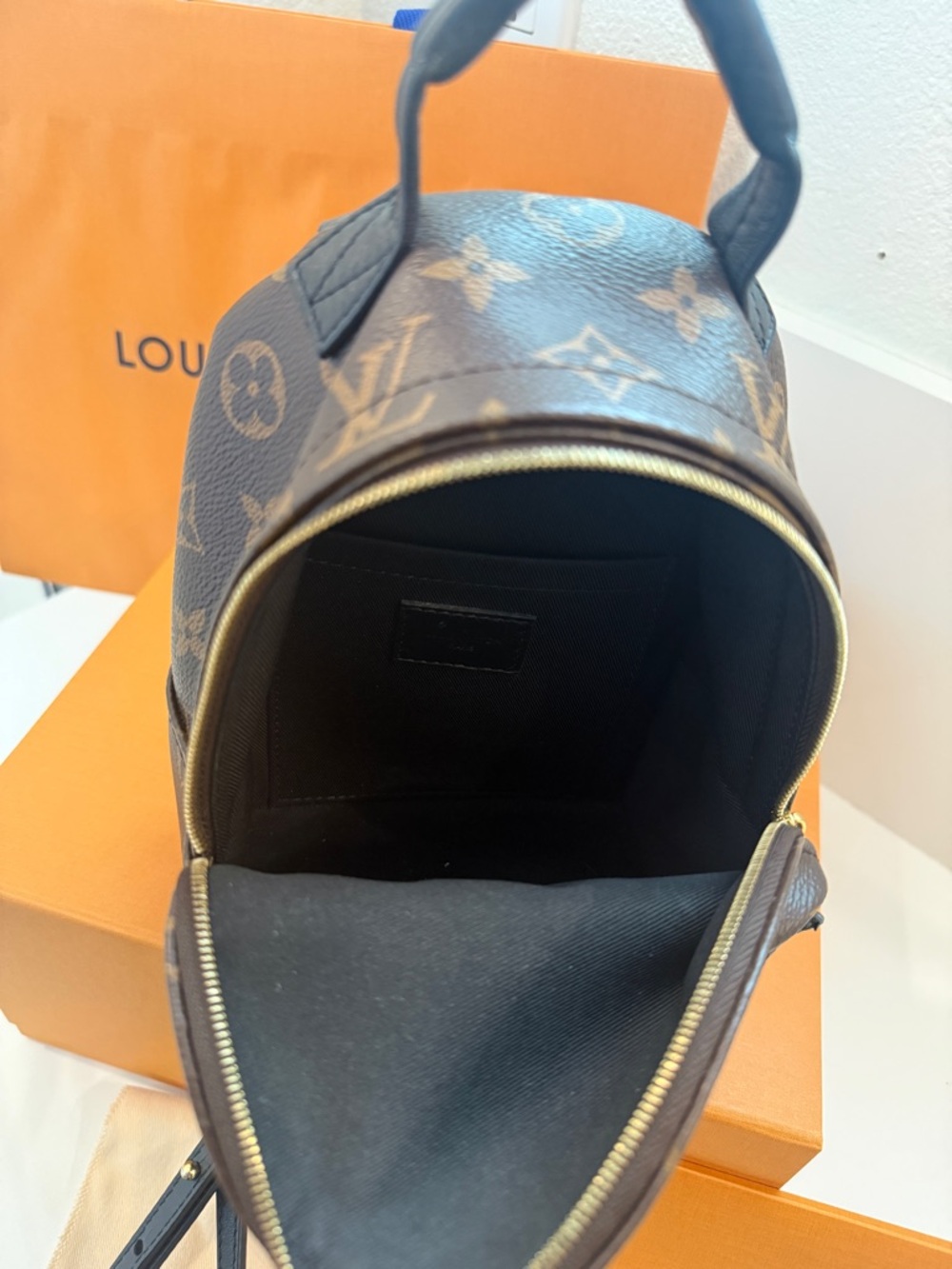 Louis Vuitton Palm Springs Mini Backpack Monogram Canvas Reverse Bag - Picture 2 of 6